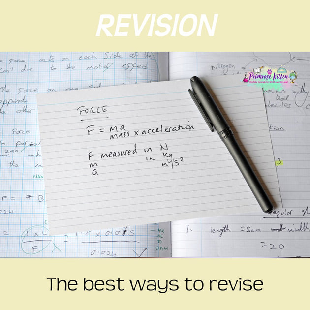 How to revise | Primrose Kitten