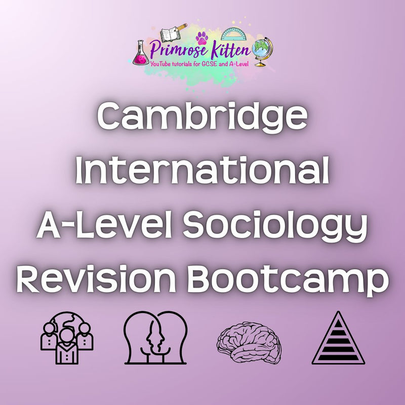 Cambridge International A - Level Sociology Revision Bootcamp - Primrose Kitten