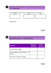 KS2 English Grammar, Punctuation and Spelling: SATs Predicted Papers - Primrose Kitten