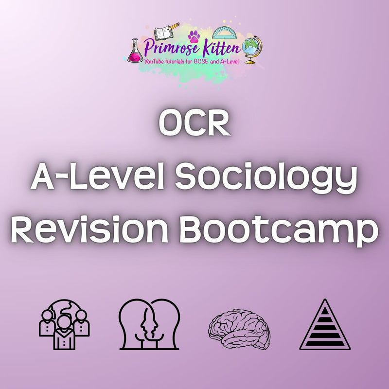 OCR A - Level Sociology Revision Bootcamp - Primrose Kitten